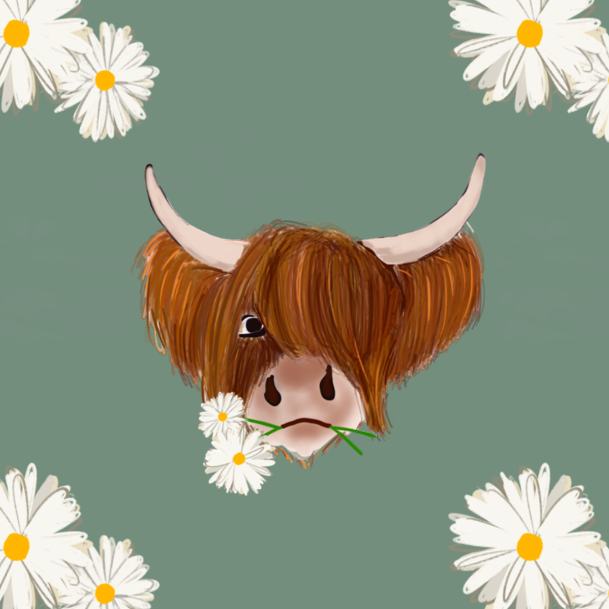 Daisy The Highland Coo