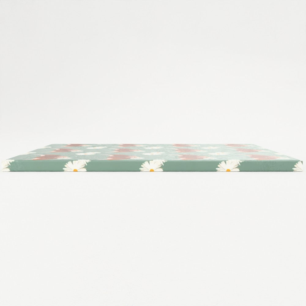 Daisy the Highland Coo - Notebooks