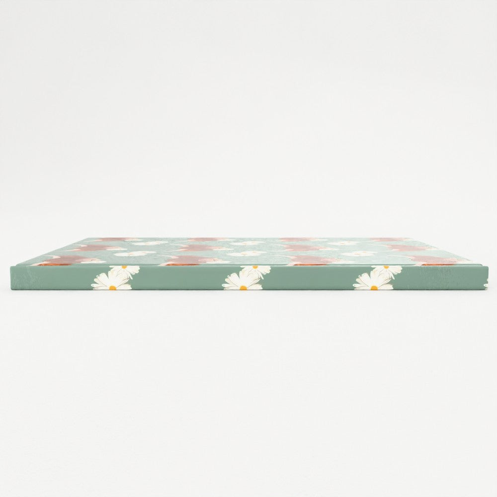 Daisy the Highland Coo - Notebooks